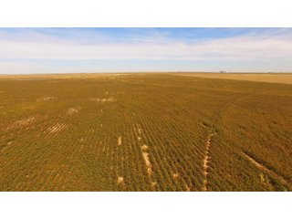 Property photo 1 - IRRIGATED FARMLAND AUCTION - 640+/- ACRES OFFERED IN 1 TRACT IN HARTLEY CO., TEXAS
